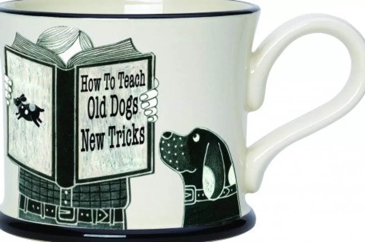 Sale Moorland Pottery How To Teach An Old Dog New Tricks Mug By