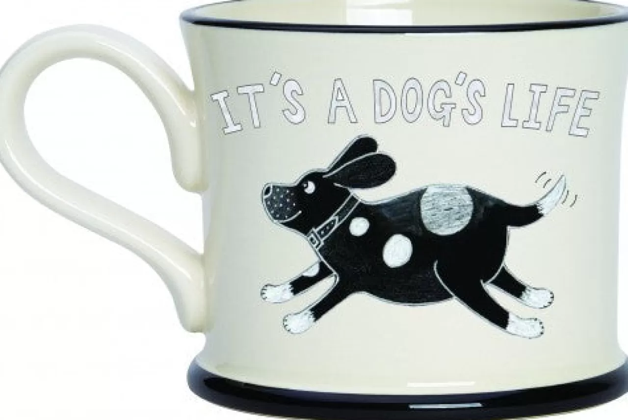 Sale Moorland Pottery How To Teach An Old Dog New Tricks Mug By