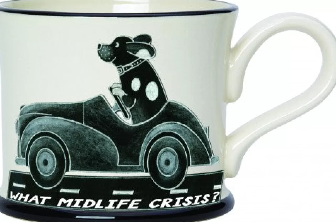 Outlet Moorland Pottery What Midlife Crisis? - It's A Dog's Life Mug By